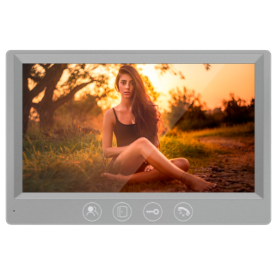 Aura Wi-Fi AHD1080P Серый  Alfavision