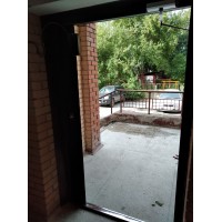 Новые двери с окном и кованными элементами, Никитина,16